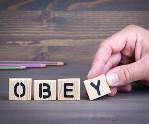 Learn to Obey: Domination and Submission Collection