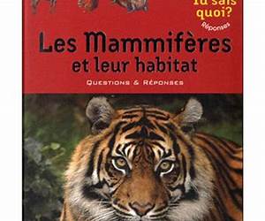 Les mammifres et leur habitat Les mammifres et leur habitat