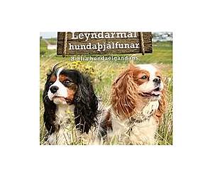 Leyndarmál Hundaþjálfunar: Biblía hundaeigandans Leyndarmál Hundaþjálfunar: Biblía hundaeigandans