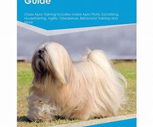 Lhasa Apso Training Guide Lhasa Apso Training Book Includes: Lhasa Apso Socializing, Housetraining, Obedience Training, Behavioral Training, Cues \u0026 Commands and More