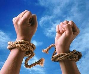 Libertad, emprendimiento y solidaridad: 10 lecciones sobre economía social de mercado Libertad, emprendimiento y solidaridad: 10 lecciones sobre economía social de mercado
