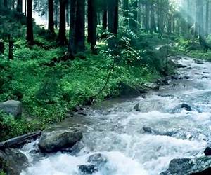 Like A River Flowing Like A River Flowing