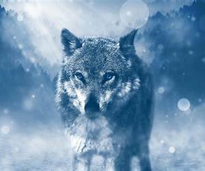Lone Wolf (FBI K-9, #1) Lone Wolf (FBI K-9, #1)