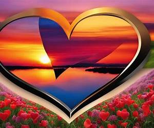 Love Filled Menage (Box Set) Love Filled Menage (Box Set)