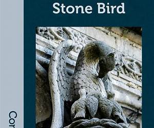 Marginalia to Stone Bird Marginalia to Stone Bird