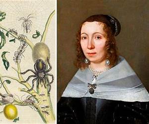 Maria Sibylla Merian (German Edition): Künstlerin und Naturforscherin 1647-1717