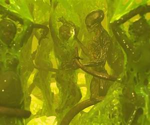 Mating with Aliens Mating with Aliens