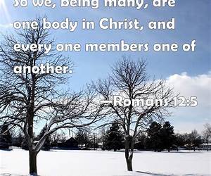 Members One of Another: The Dynamics of Membership in Quaker Meeting (Pendle Hill Pamphlets Book 371) Members One of Another: The Dynamics of Membership in Quaker Meeting (Pendle Hill Pamphlets Book 371)