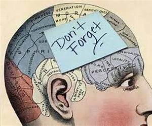 Memory: How you can learn faster, sleep better, remember more, get brain improvement by Effective Learning Techniques! Memory: How you can learn faster, sleep better, remember more, get brain improvement by Effective Learning Techniques!