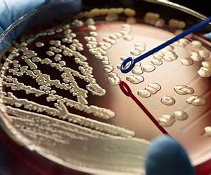 Microbiology: A Human Perspective. 7th Edition. Nester Anderson Roberts