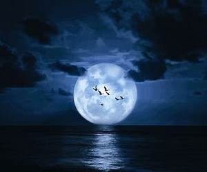 Midnight: Book 2- Eclipse