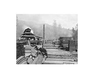 Mills of Humboldt County (Images of America: California) Mills of Humboldt County (Images of America: California)