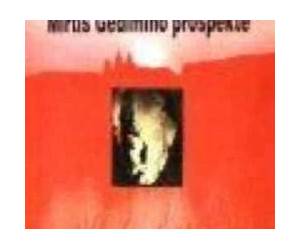 Mirtis Gedimino prospekte