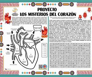Misterios del corazón (Julia) (Spanish Edition)