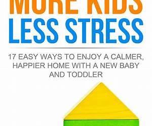 More Kids Less Stress: 17 easy ways to enjoy a calmer, happier home with a new baby and toddler
