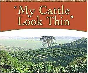My Cattle Look ThinA Story of Life on a Farm in Zimbabwe My Cattle Look ThinA Story of Life on a Farm in Zimbabwe