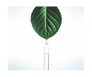 Nature's Pharmacopeia: A World of Medicinal Plants Nature's Pharmacopeia: A World of Medicinal Plants