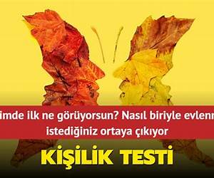 Ne Görüyorsun?