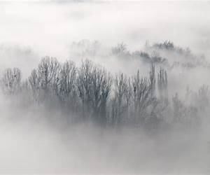 Niebla / La Tía Tula Niebla / La Tía Tula