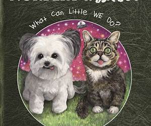 Norbert \u0026 Lil BUB: Coloring Book Norbert \u0026 Lil BUB: Coloring Book