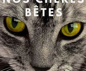 Nos Chères Bêtes: Recueil de Nouvelles (French Edition)