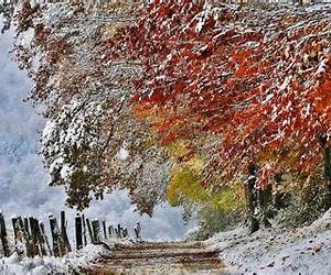 November Snow (Bad Bloods, #2) November Snow (Bad Bloods, #2)