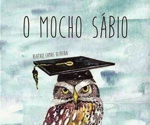 O mocho sábio
