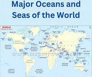 Oceans and Seas of the World : Homeschool Geography 3rd Grade Series: Oceanography for Kids (Children's Oceanography Books)