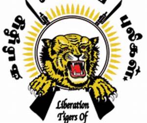 Of Tamils and Tigers : A Journey Through Sri Lanka's War Years Of Tamils and Tigers : A Journey Through Sri Lanka's War Years