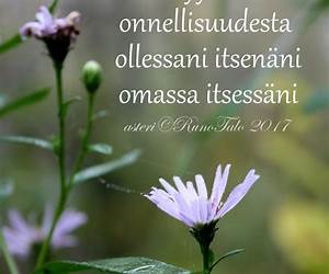 Onnellisuudesta Onnellisuudesta