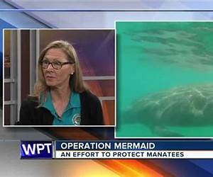 Operation Mermaid: The Project Kraken Incident
