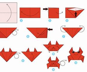 Origami: The Ultimate Origami Crash Course with Images: Master Origami in 2 hours. Learn Origami with 20 Step by Step Projects That Inspire You