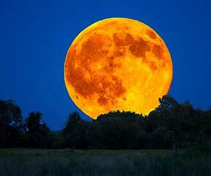 Ormnhi moon Ormnhi moon