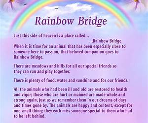 Over the Rainbow Bridge