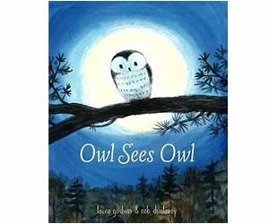 Owl Sees Owl Owl Sees Owl