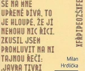 Překladatelské miniatury
