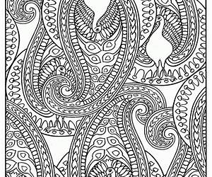 Paisley Designs Coloring Book: Stress Relieving (Adult Coloring Book) (Artist Series Adult Coloring Books Book 1) Paisley Designs Coloring Book: Stress Relieving (Adult Coloring Book) (Artist Series Adult Coloring Books Book 1)