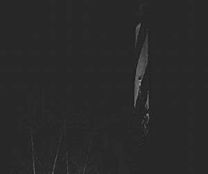 Paranormal Contact Volume 2: St. Augustine