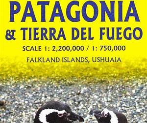 Patagonia \u0026 Tierra Del Fuego Travel Ref. Map 1:2M/1:750K (SERIE INTERNAT1/2.000.000) (English and French Edition)