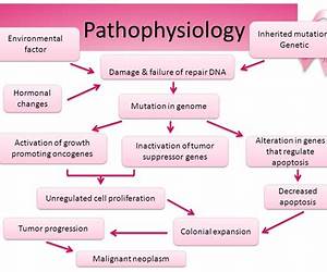 Pathophysiology: The Cardiovascular System