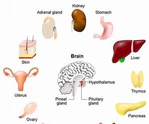 Pediatric Endocrine Disorders
