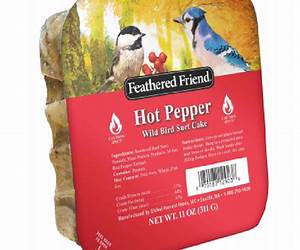 Pepper makes a special friend