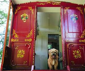 Places to Stay with Your Dog (AA 500) Places to Stay with Your Dog (AA 500)