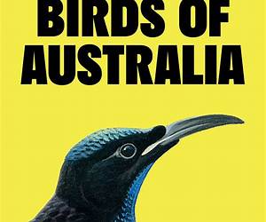 Pocket Guide to Birds of Australia