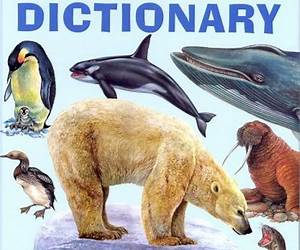 Polar Animals Dictionary