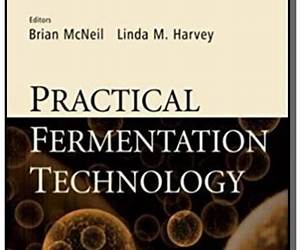 Practical Fermentation Technology