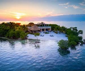 Private Island Affairs (Billionaire Wolf Paradise #1)