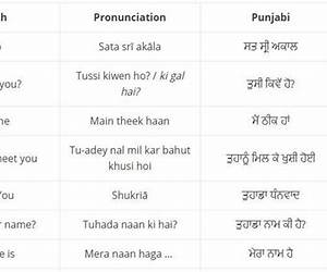 Punjabi Vocabulary for English Speakers3000 Essential Words: Over 8,000 books are available in this series. (3000 Essential Words Series Book 66)