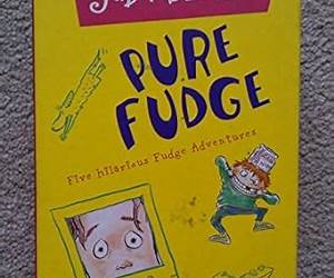 Pure Fudge Box Set