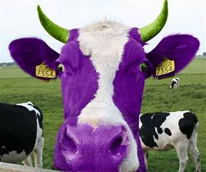 Purple Cow: Summary of the Key IdeasOriginal Book by Seth Godin: Transform Your Business by Being Remarkable